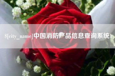 桐城中国消防产品信息查询系统1