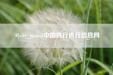 桐城中国执行执行信息网