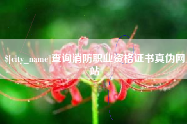桐城查询消防职业资格证书真伪网站