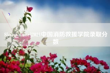 桐城2021中国消防救援学院录取分数