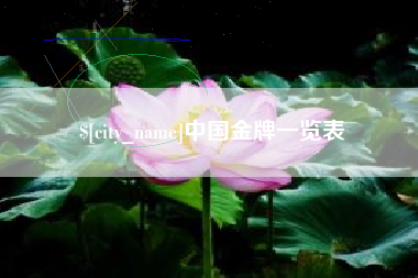 桐城中国金牌一览表