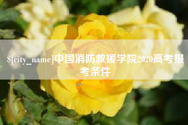 桐城中国消防救援学院2020高考报考条件