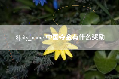 桐城中国夺金有什么奖励