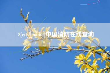 桐城中国消防在线查询