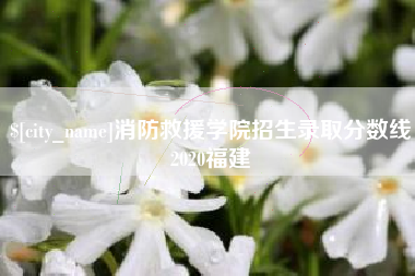 桐城消防救援学院招生录取分数线2020福建