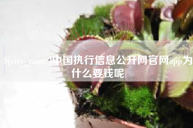 桐城中国执行信息公开网官网app为什么要钱呢