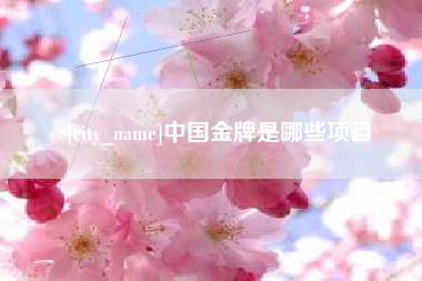桐城中国金牌是哪些项目