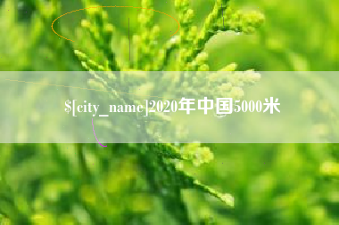 桐城2020年中国5000米