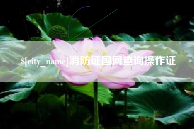 桐城消防证国网查询操作证