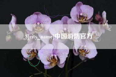 桐城中国消防官方