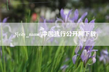 桐城中国执行公开网下载