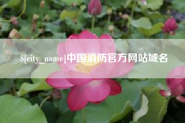 桐城中国消防官方网站域名