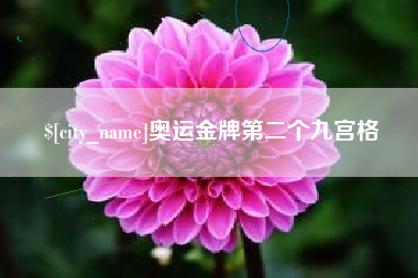 桐城奥运金牌第二个九宫格