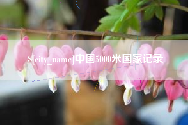 桐城中国5000米国家记录