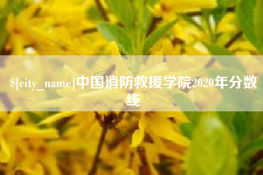 桐城中国消防救援学院2020年分数线