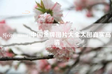 桐城中国金牌图片大全大图真实高清