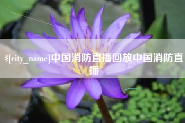 桐城中国消防直播回放中国消防直播
