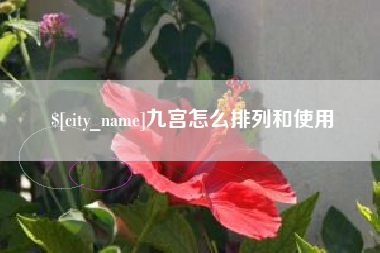 桐城九宫怎么排列和使用