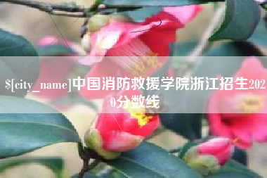 桐城中国消防救援学院浙江招生2020分数线