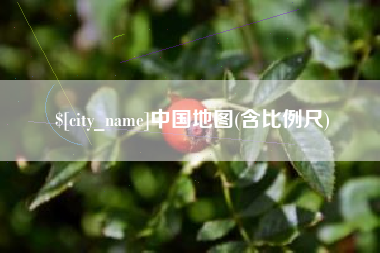 桐城中国地图(含比例尺)