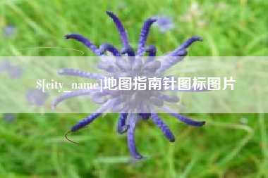 桐城地图指南针图标图片