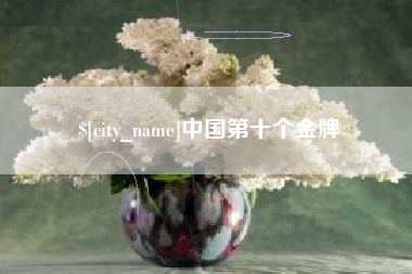 桐城中国第十个金牌