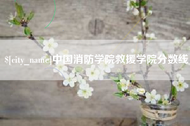 桐城中国消防学院救援学院分数线
