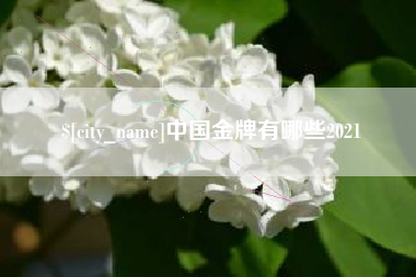 桐城中国金牌有哪些2021