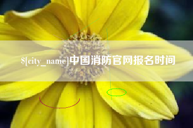 桐城中国消防官网报名时间