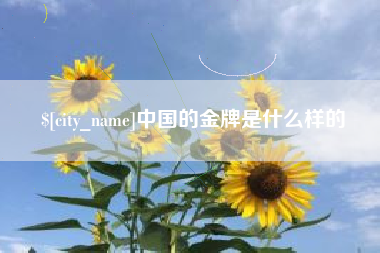 桐城中国的金牌是什么样的