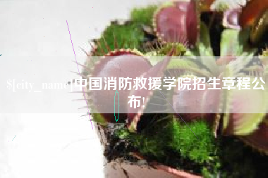 桐城中国消防救援学院招生章程公布!