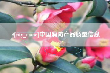 桐城中国消防产品质量信息