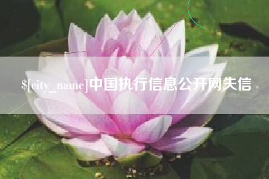 桐城中国执行信息公开网失信