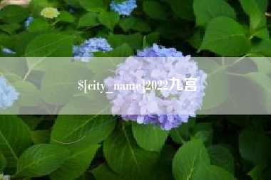 桐城2022九宫