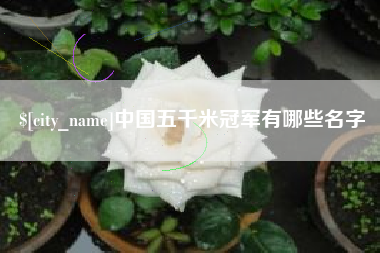 桐城中国五千米冠军有哪些名字