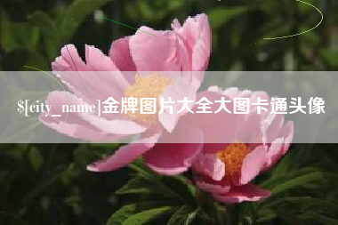 桐城金牌图片大全大图卡通头像