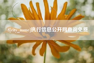 桐城执行信息公开网查询免费