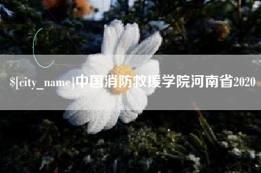 桐城中国消防救援学院河南省2020